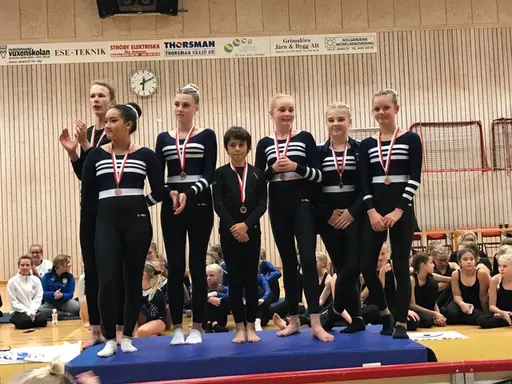 Överst vänster - GULD-LAGET i klass 4, överst höger - SILVER -och GULDLAGEN i klass 5, nedre vänster - BRONS i klass 6A och nedre högre - BRONS i klass 6B