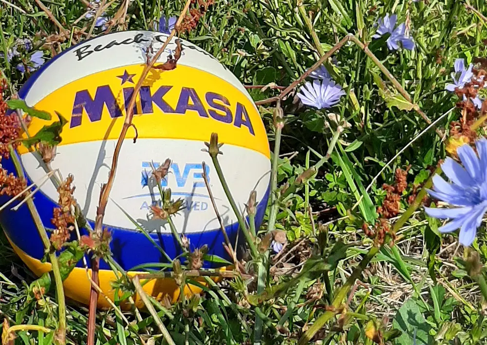 Glad midsommar!