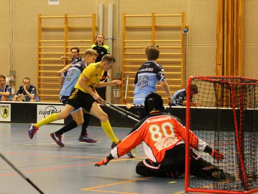 Bra jobbat grabbar och mycket bra tempo i matchen. Slutresultatet blev 6-3.