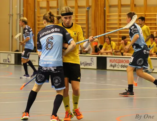 Bra jobbat grabbar och mycket bra tempo i matchen. Slutresultatet blev 6-3.