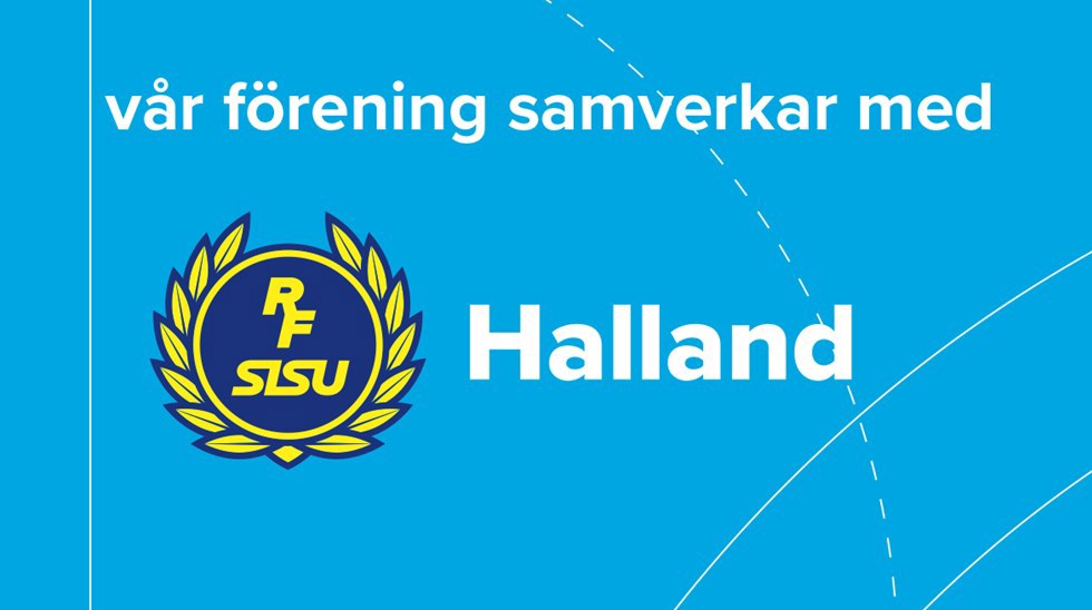 sisu