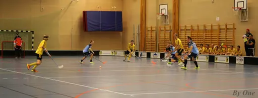 Bra jobbat grabbar och mycket bra tempo i matchen. Slutresultatet blev 6-3.