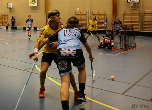 Bra jobbat grabbar och mycket bra tempo i matchen. Slutresultatet blev 6-3.