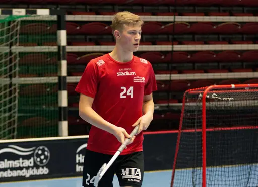 Lukas Jonsborg och Gabriel Bekassy Fritzson