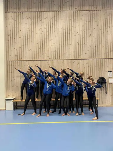 Merkurius, Vega, meteoriterna, kometerna, månen, venus 