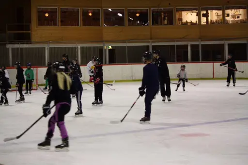 22/12 fick ÅIK:s ungdomar (ett 40-tal) träffa ÅIK:s hockeyambassadörer som spelar i i andra klubbar. I blickpunkten förstås Sebastian Ohlsson Skellefteå AIK:s SHL-lag