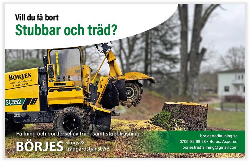 Börjes Skogs o Trädgårdstjänst AB