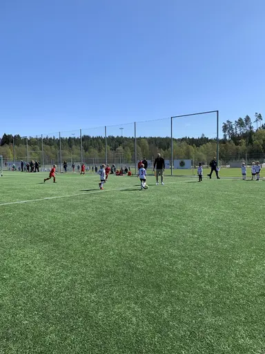 BUA Sammandrag 2019-05-11