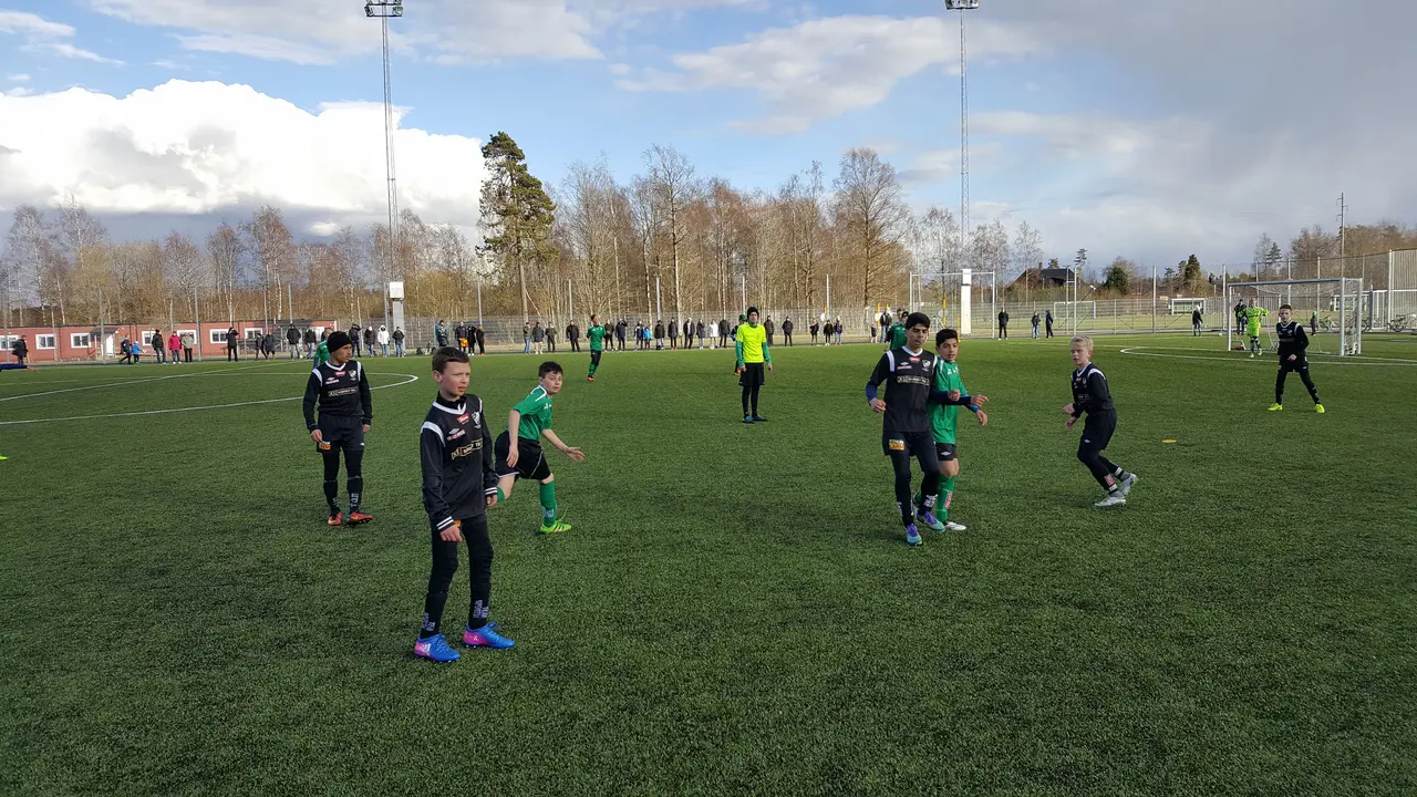En ny imponerande insats på Dalsjöhov.