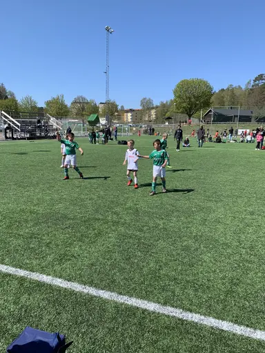 BUA Sammandrag 2019-05-11