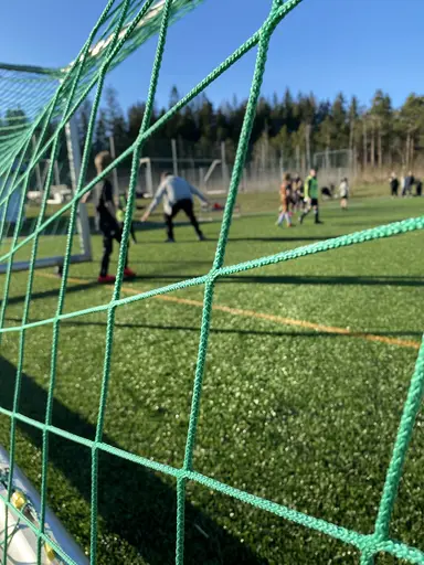 Under vecka 17 bjöds vi på fantastiskt väder.