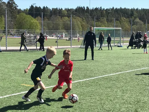 BUA Sammandrag 2019-05-11