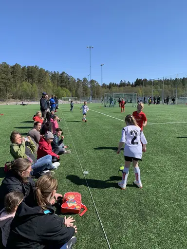 BUA Sammandrag 2019-05-11