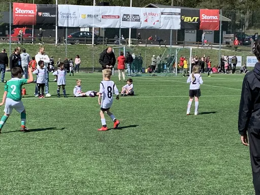 BUA Sammandrag 2019-05-11