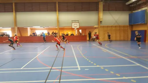 En toppendag i Hökerum!