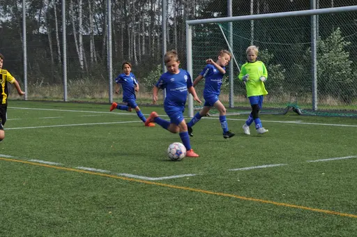 Levins Cup 2019