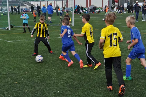 Levins Cup 2019