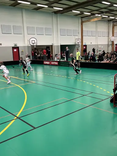 Varnhem , Falköping och Mullsjö