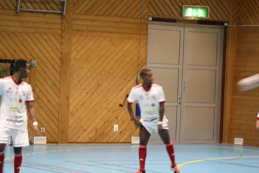 2 lag i olika grupper, drygt 20 spelare och 13 pinnar på 6 matcher!