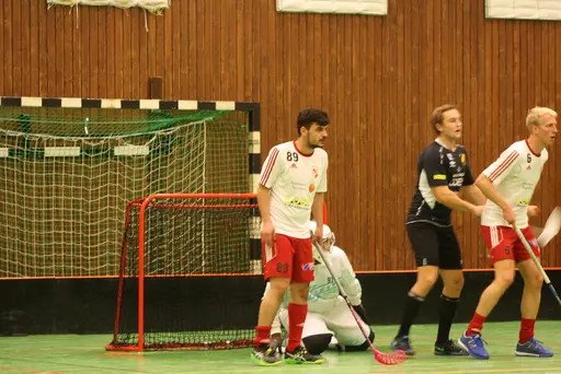 Lite blandade matchbilder och de var en match helt i publikens match........