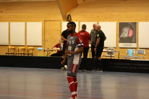 Lite bilder signerade Fatma Gutic