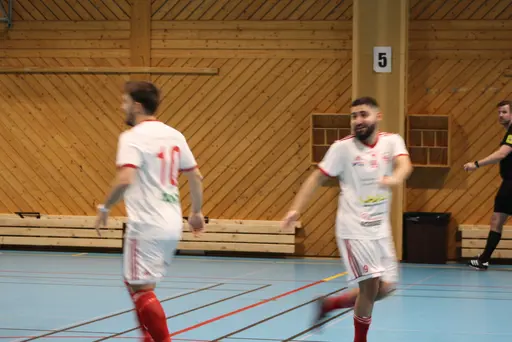 2 lag i olika grupper, drygt 20 spelare och 13 pinnar på 6 matcher!