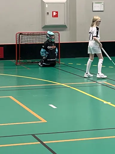 Varnhem , Falköping och Mullsjö