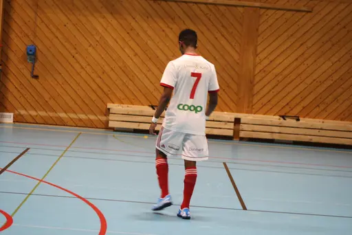 2 lag i olika grupper, drygt 20 spelare och 13 pinnar på 6 matcher!