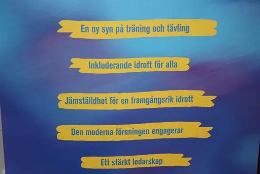 Lite bilder från eftermiddagen - kvällens avslutningar