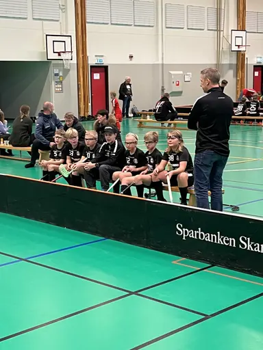 Varnhem , Falköping och Mullsjö