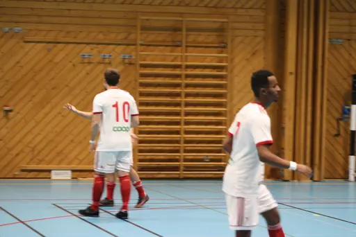 2 lag i olika grupper, drygt 20 spelare och 13 pinnar på 6 matcher!