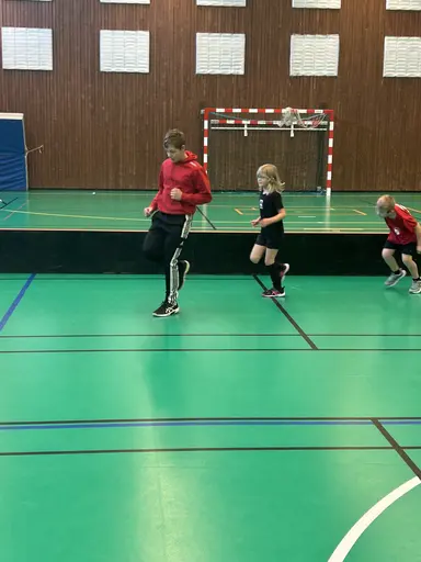 Bilder från 5, 12, 19, 26 oktober och 2 november