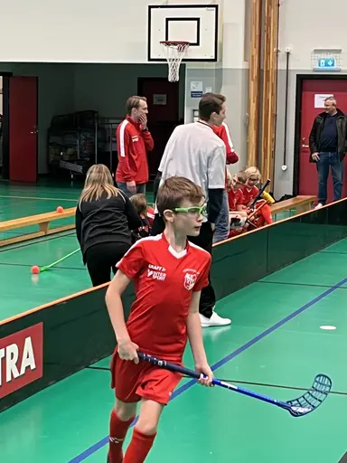 Varnhem , Falköping och Mullsjö