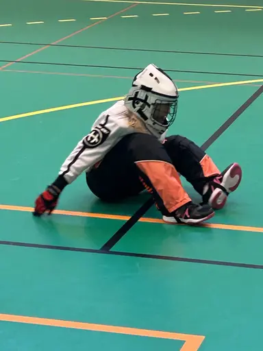 Bilder från 5, 12, 19, 26 oktober och 2 november