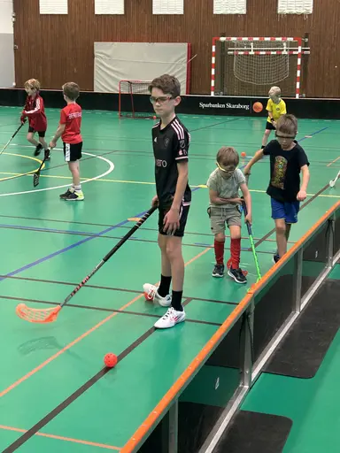 Bilder från 5, 12, 19, 26 oktober och 2 november