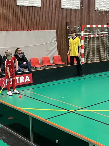 Varnhem , Falköping och Mullsjö