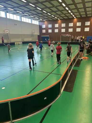 Bilder från 5, 12, 19, 26 oktober och 2 november