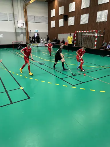Varnhem , Falköping och Mullsjö
