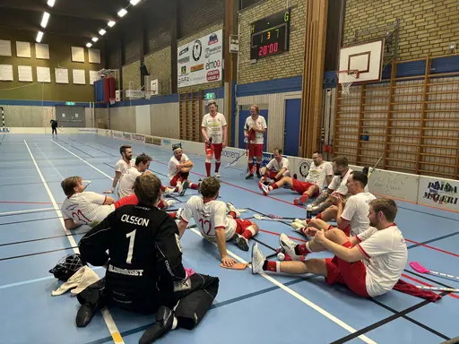 Lite bilder från innebandysektionen 2024!