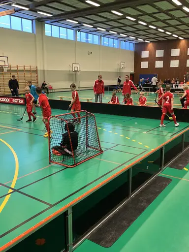 Varnhem , Falköping och Mullsjö