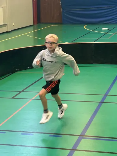 Bilder från 5, 12, 19, 26 oktober och 2 november