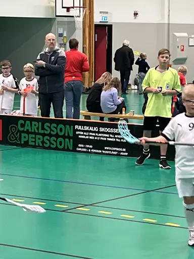 Varnhem , Falköping och Mullsjö