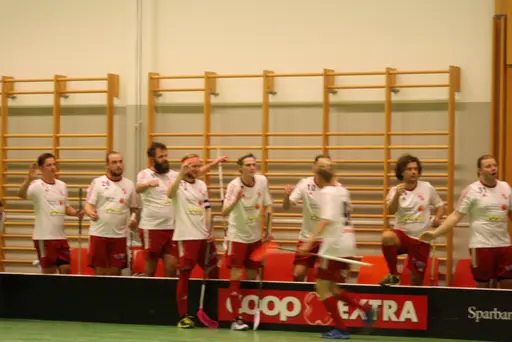 Lite blandade matchbilder och de var en match helt i publikens match........