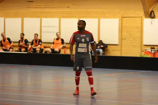Lite bilder signerade Fatma Gutic