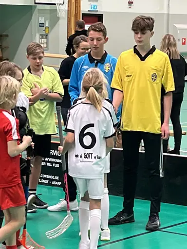Varnhem , Falköping och Mullsjö