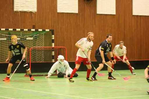 Lite blandade matchbilder och de var en match helt i publikens match........
