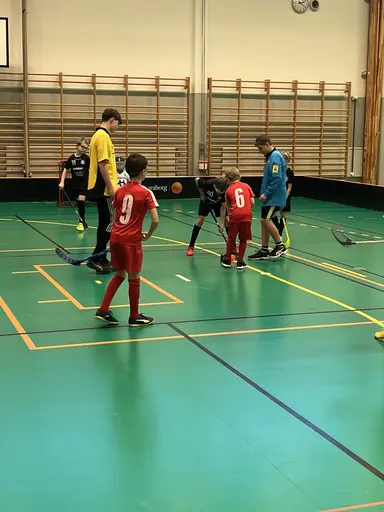 Varnhem , Falköping och Mullsjö