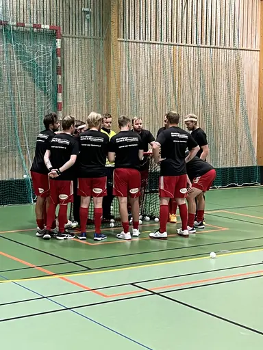 Lite bilder från innebandysektionen 2024!