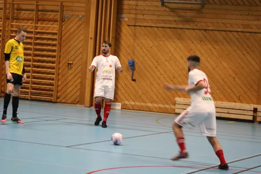 2 lag i olika grupper, drygt 20 spelare och 13 pinnar på 6 matcher!
