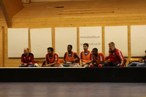 Lite bilder signerade Fatma Gutic